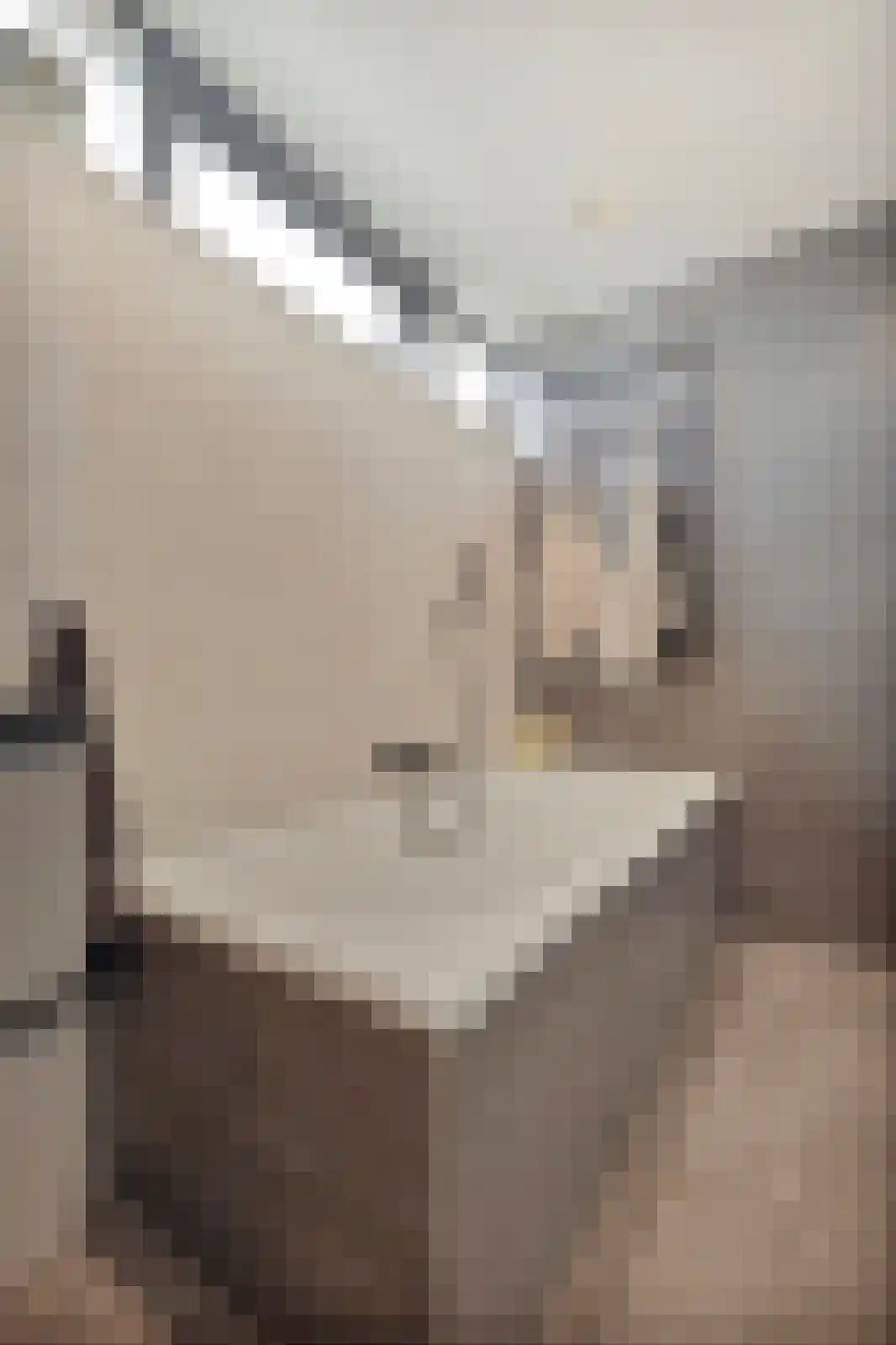 Morgen 41 Stompetoren thumbnail 36