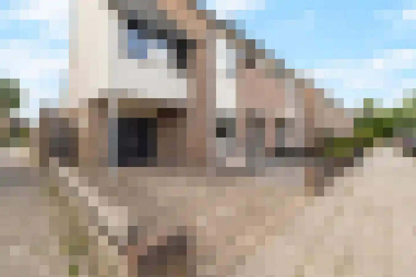 Morgen 41 Stompetoren thumbnail 4