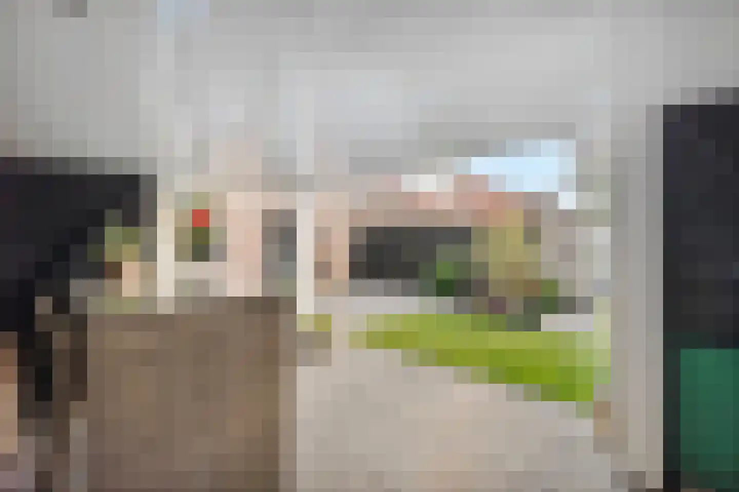 Morgen 41 Stompetoren thumbnail 51
