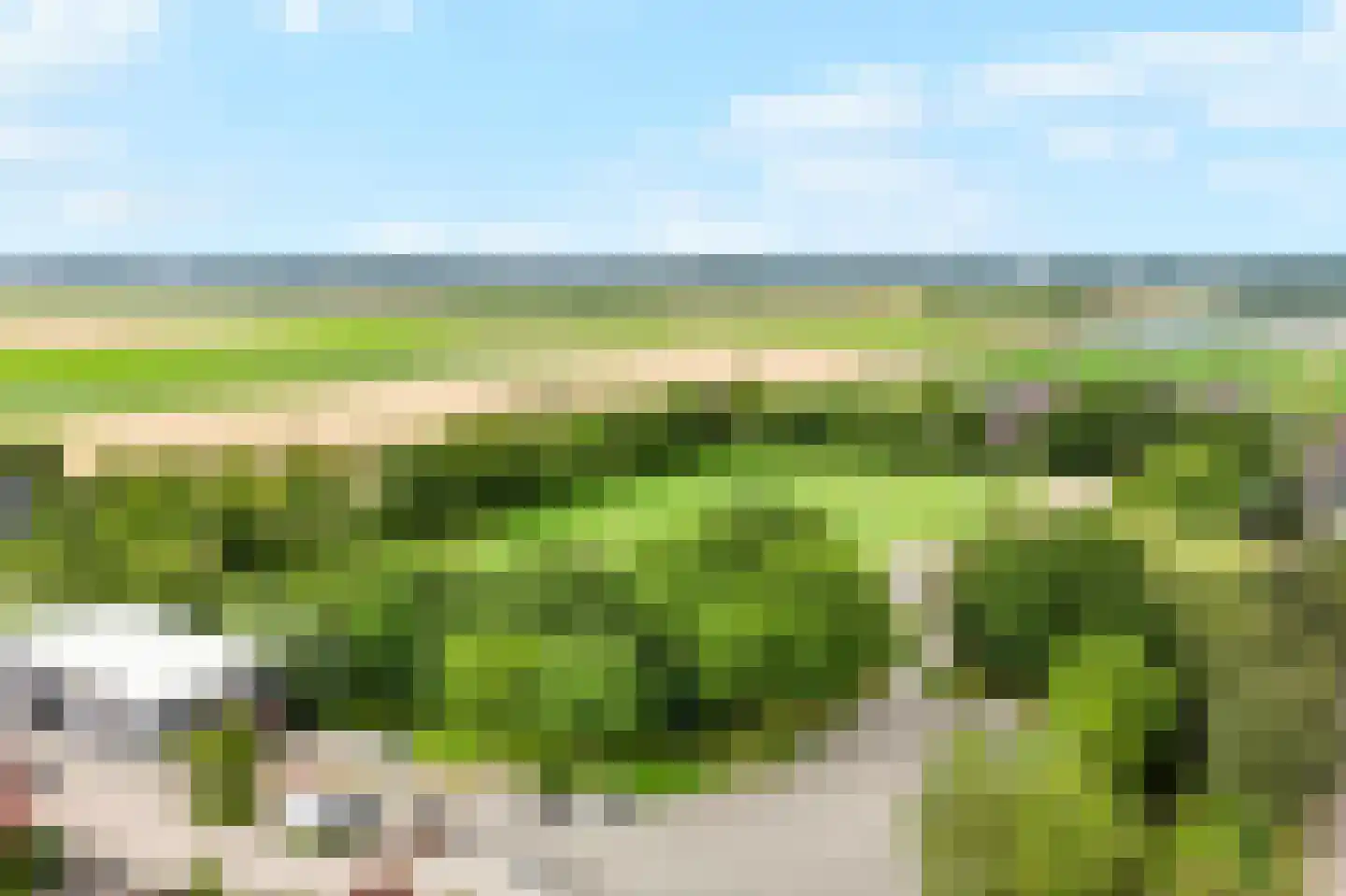 Morgen 41 Stompetoren thumbnail 56