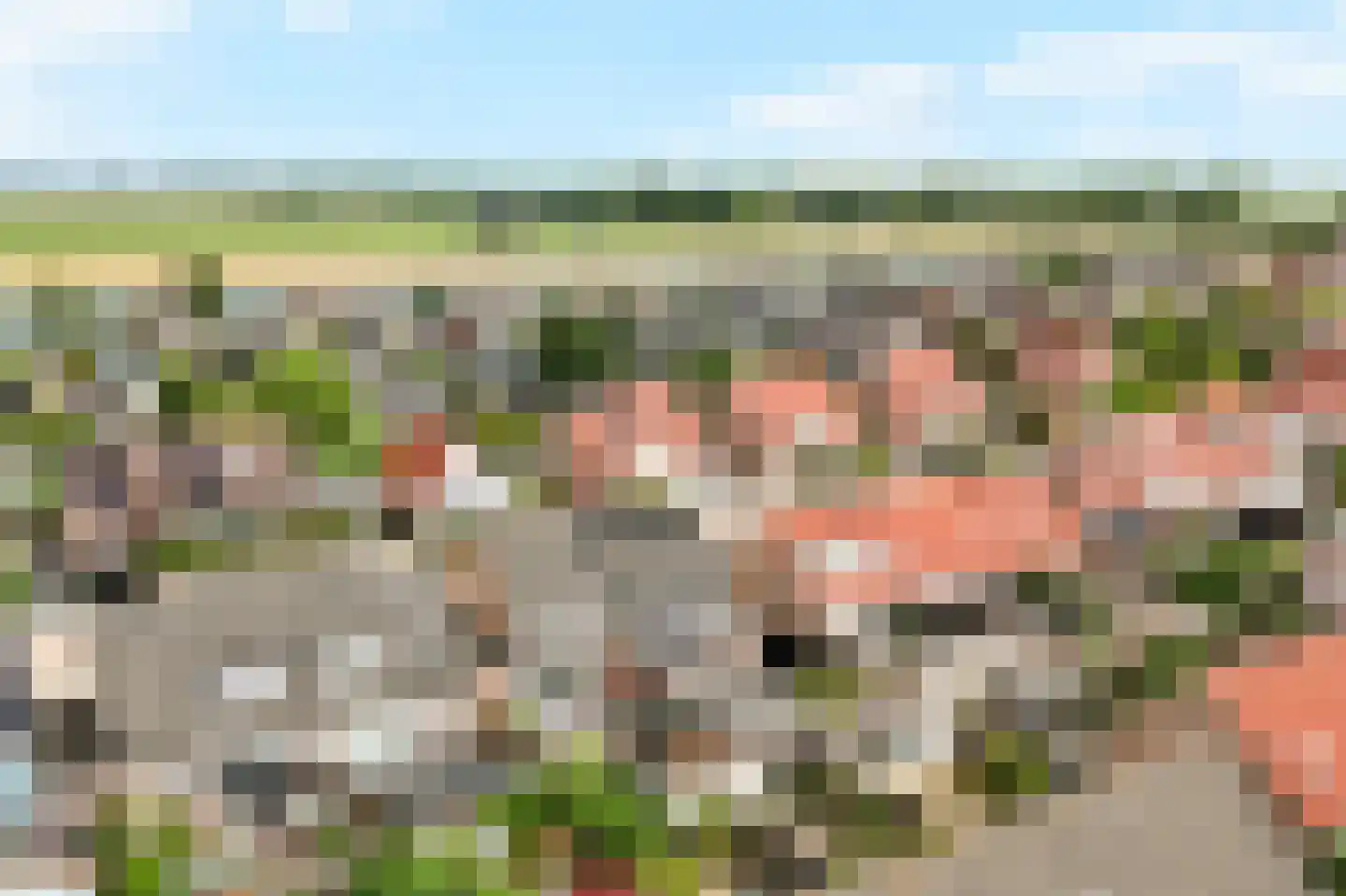 Morgen 41 Stompetoren thumbnail 57