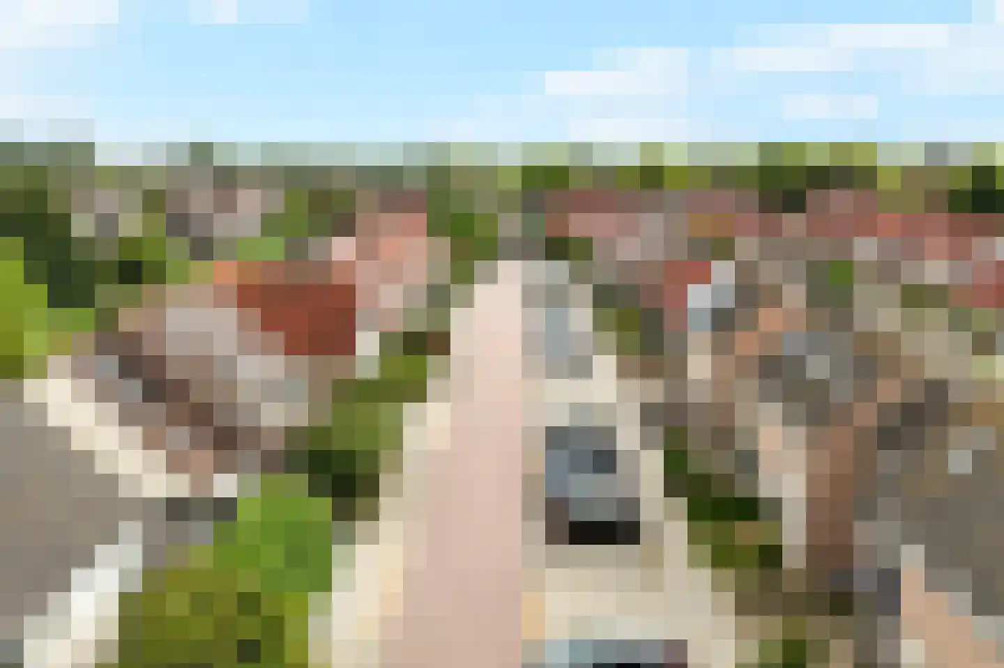 Morgen 41 Stompetoren thumbnail 58