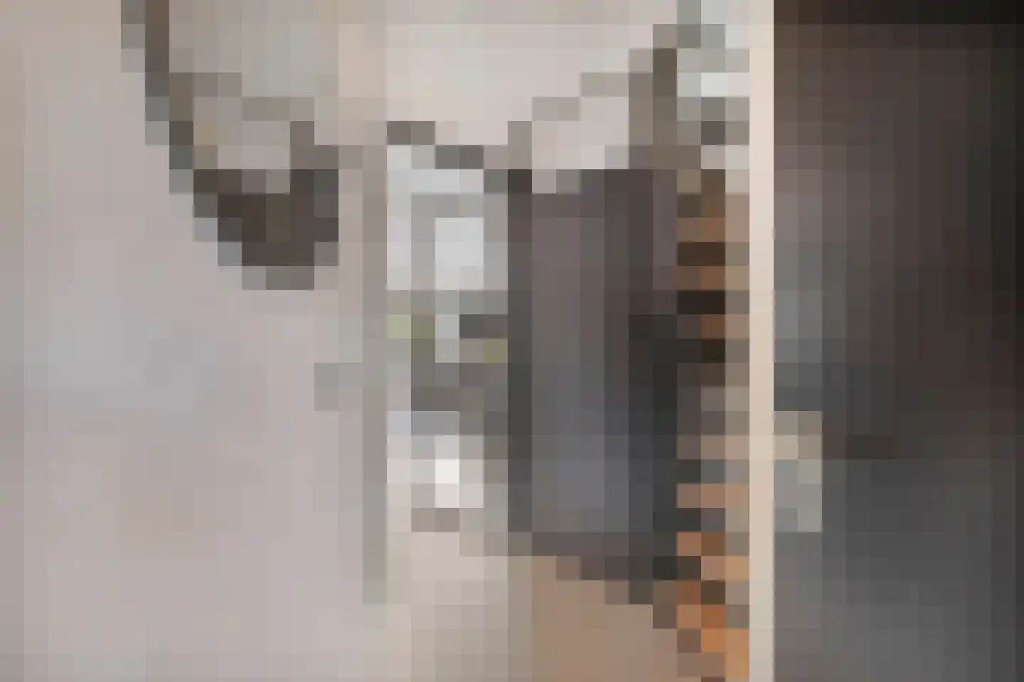 Morgen 41 Stompetoren thumbnail 8