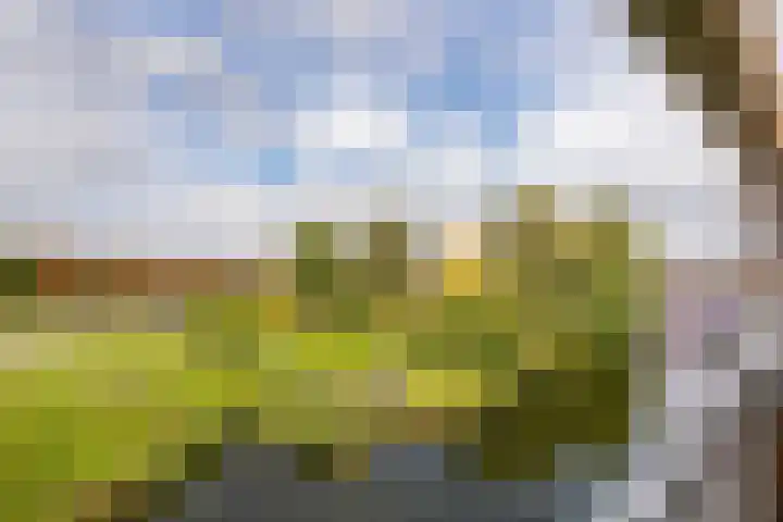 Morgen 45 Soest thumbnail 23