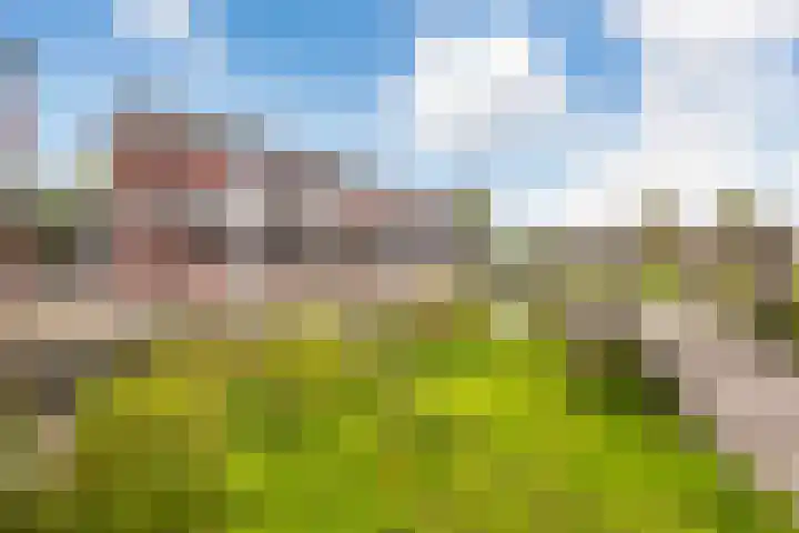 Morgen 45 Soest thumbnail 25