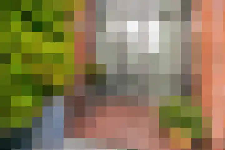 Morgen 45 Soest thumbnail 31