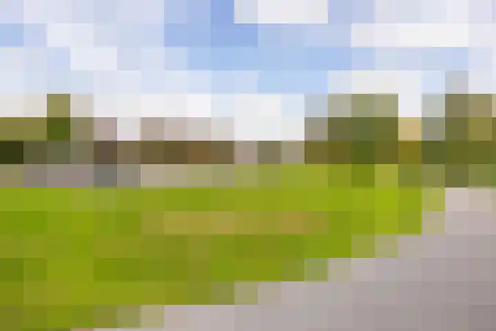 Morgen 45 Soest thumbnail 33