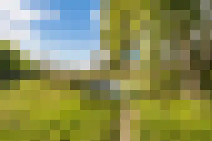 Morgen 45 Soest thumbnail 34