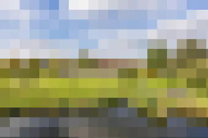 Morgen 45 Soest thumbnail 7