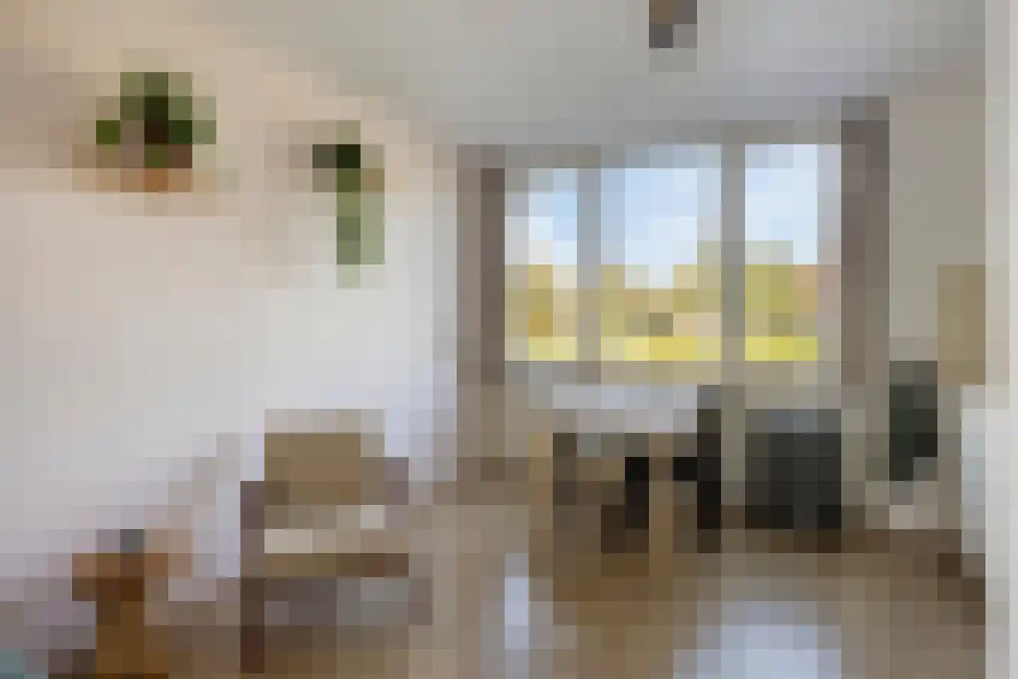 Morgen 47 Soest thumbnail 14