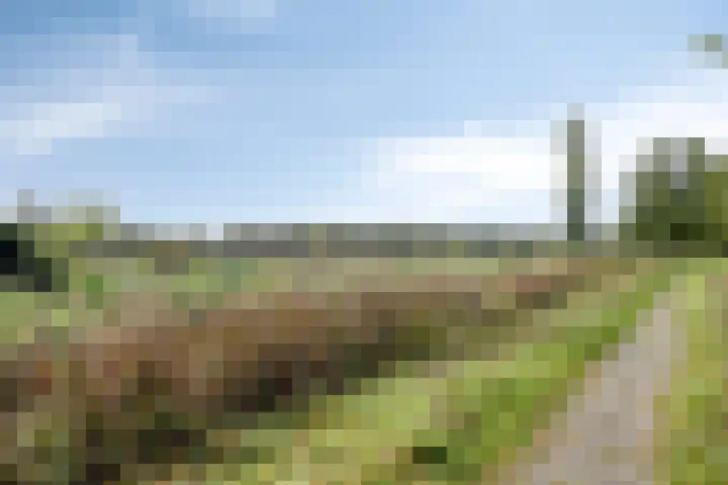 Morgen 47 Soest thumbnail 43