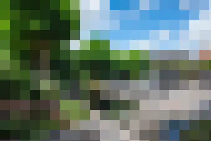 Morgen 58 Alphen aan den Rijn foto 2