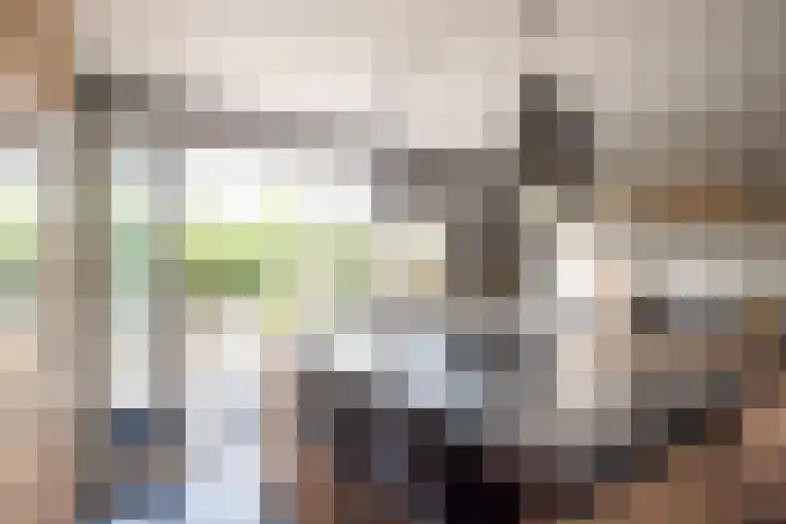 Morgen 58 Alphen aan den Rijn thumbnail 20