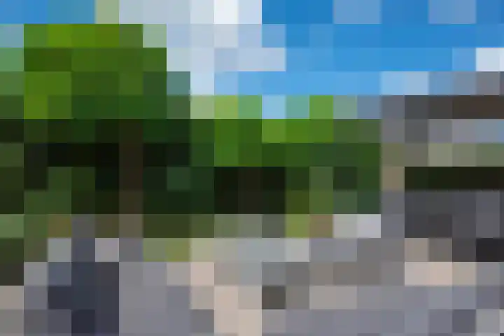 Morgen 58 Alphen aan den Rijn thumbnail 22