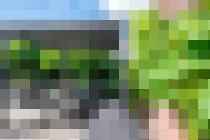 Morgen 58 Alphen aan den Rijn thumbnail 23