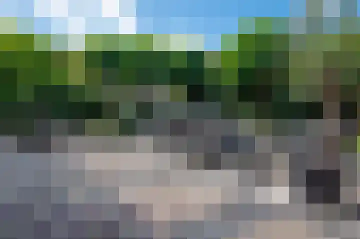 Morgen 58 Alphen aan den Rijn thumbnail 24
