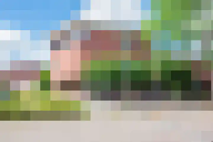 Morgen 58 Alphen aan den Rijn thumbnail 4