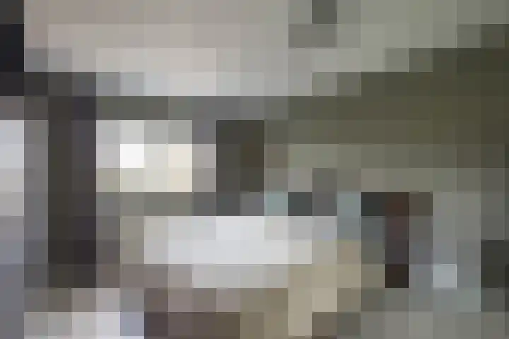 Morgen 58 Alphen aan den Rijn thumbnail 41