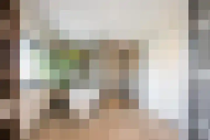 Morgen 58 Alphen aan den Rijn thumbnail 45
