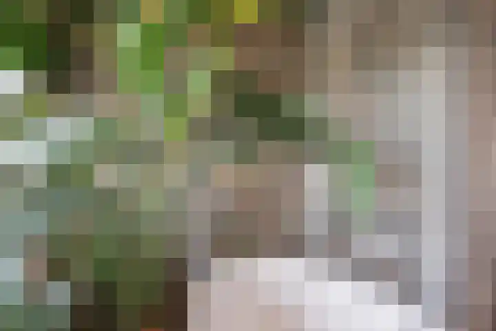 Morgen 58 Alphen aan den Rijn thumbnail 46