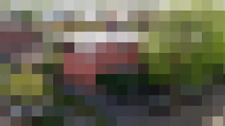 Morgen 58 Alphen aan den Rijn thumbnail 5
