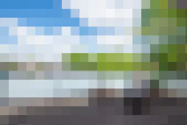 Morgen 58 Alphen aan den Rijn thumbnail 55