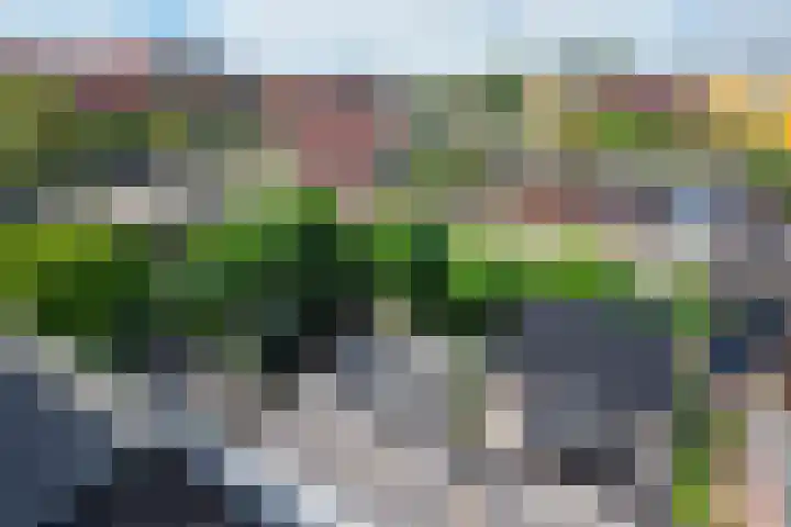 Morgen 58 Alphen aan den Rijn thumbnail 56