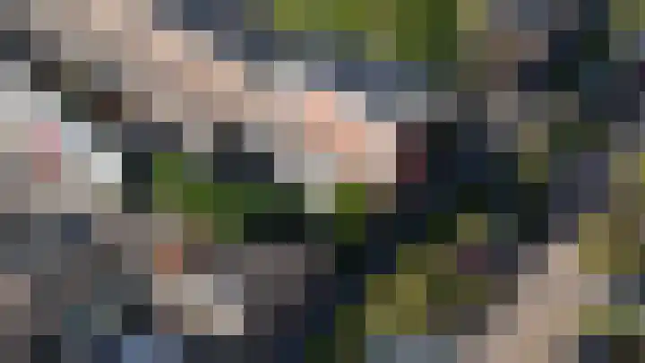 Morgen 58 Alphen aan den Rijn thumbnail 61