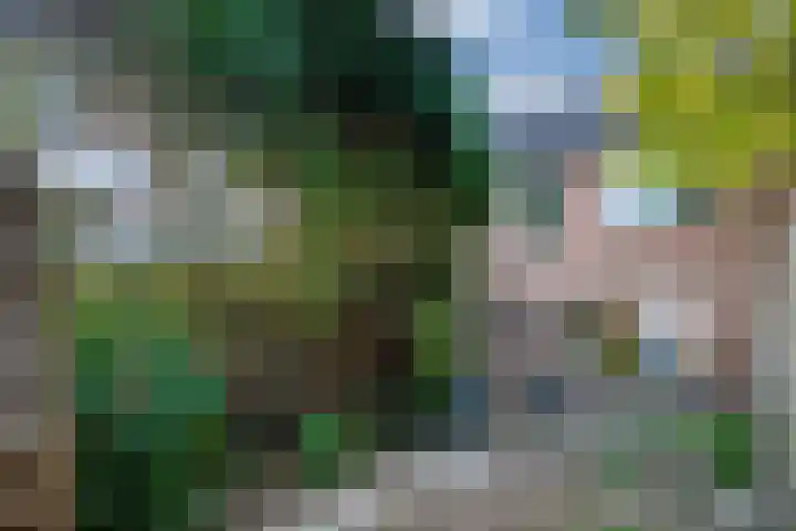Morgen 7 Didam thumbnail 14
