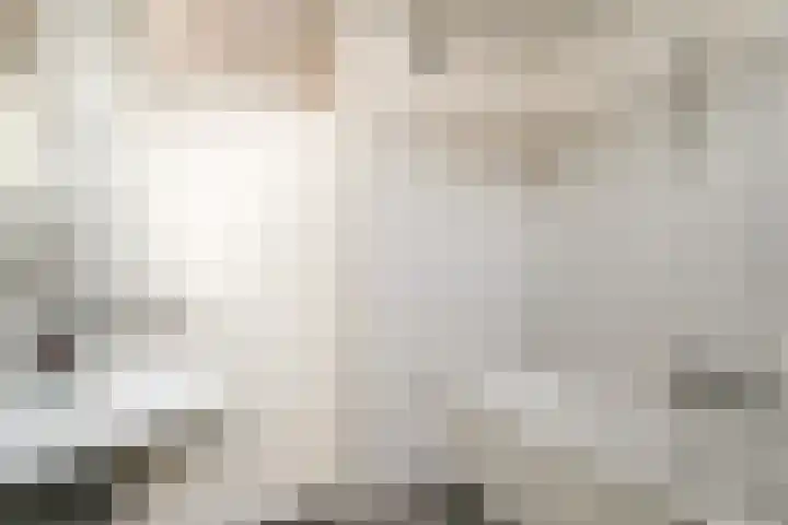 Morgen 7 Didam thumbnail 24