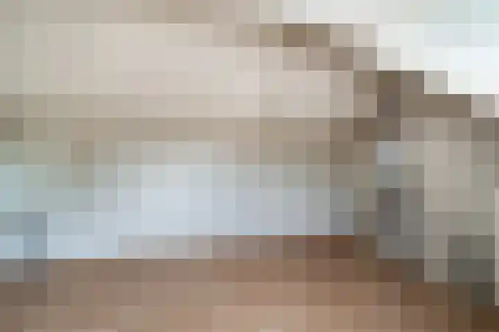 Morgen 7 Didam thumbnail 28