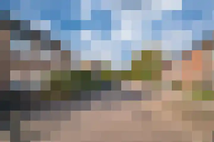 Morgen 7 Didam foto 3