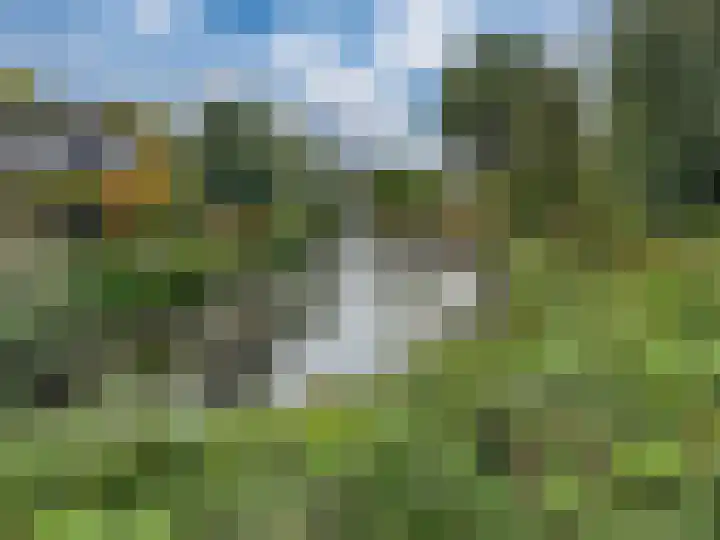 Morgen 7 Didam thumbnail 33