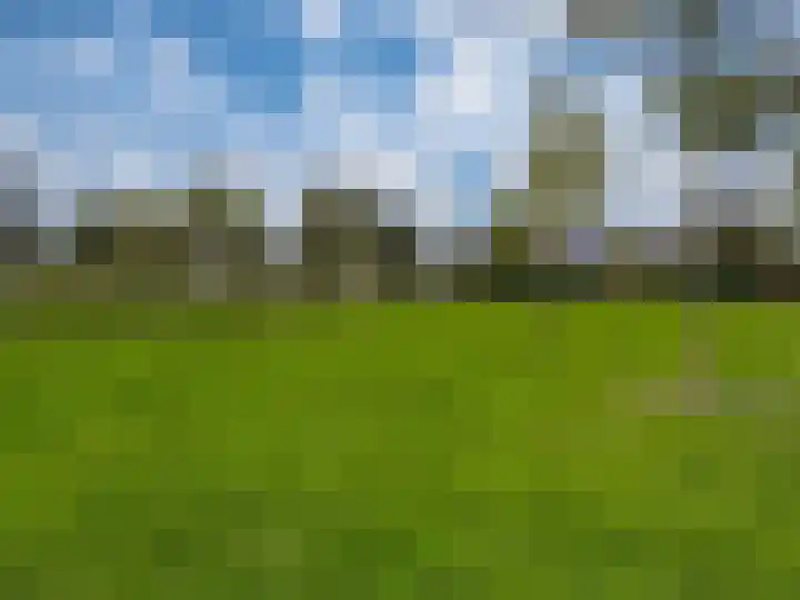 Morgen 7 Didam thumbnail 34