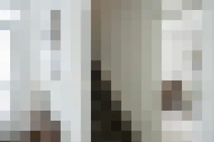 Morgen 7 Gemert thumbnail 12