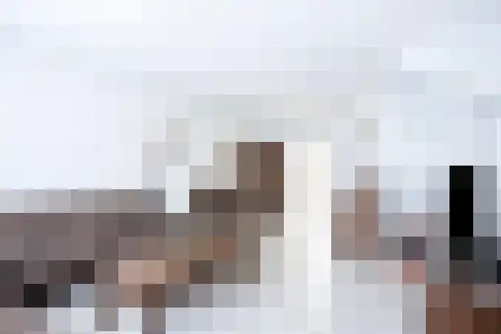 Morgen 7 Gemert foto 2