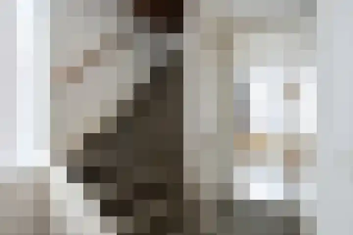 Morgen 7 Gemert thumbnail 26