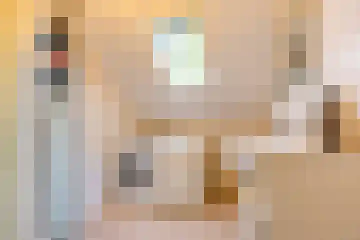 Morgen 7 Gemert thumbnail 27