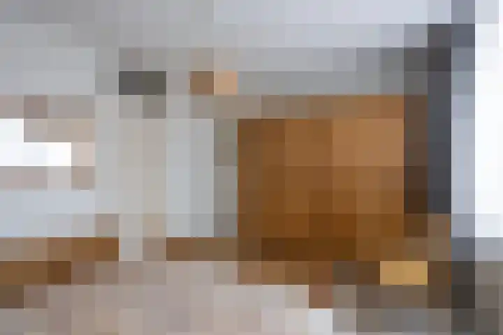 Morgen 7 Gemert thumbnail 28