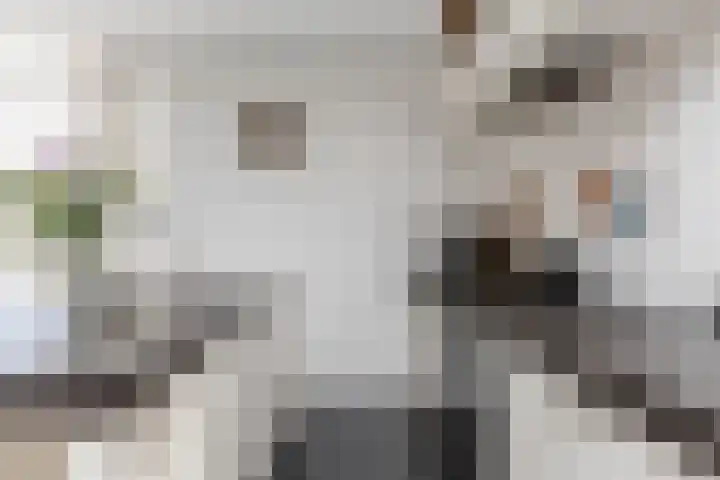 Morgen 7 Gemert thumbnail 33