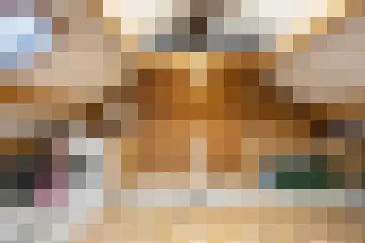 Morgen 7 Gemert thumbnail 35