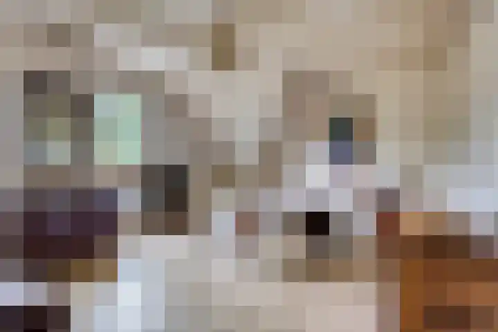 Morgen 7 Gemert thumbnail 36