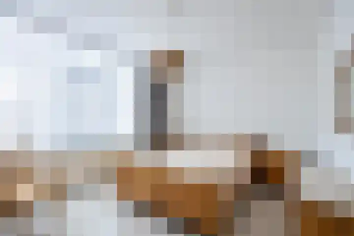 Morgen 7 Gemert thumbnail 4