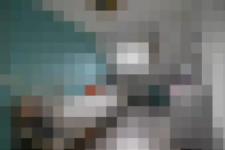 Morgen 7 Gemert thumbnail 45