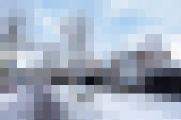 Morgen 7 Gemert thumbnail 9