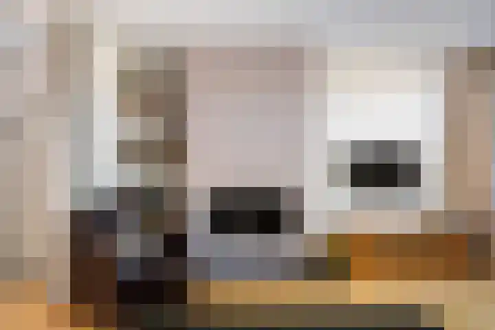 Morgen 7 Soest thumbnail 12