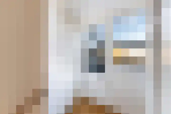 Morgen 7 Soest thumbnail 22