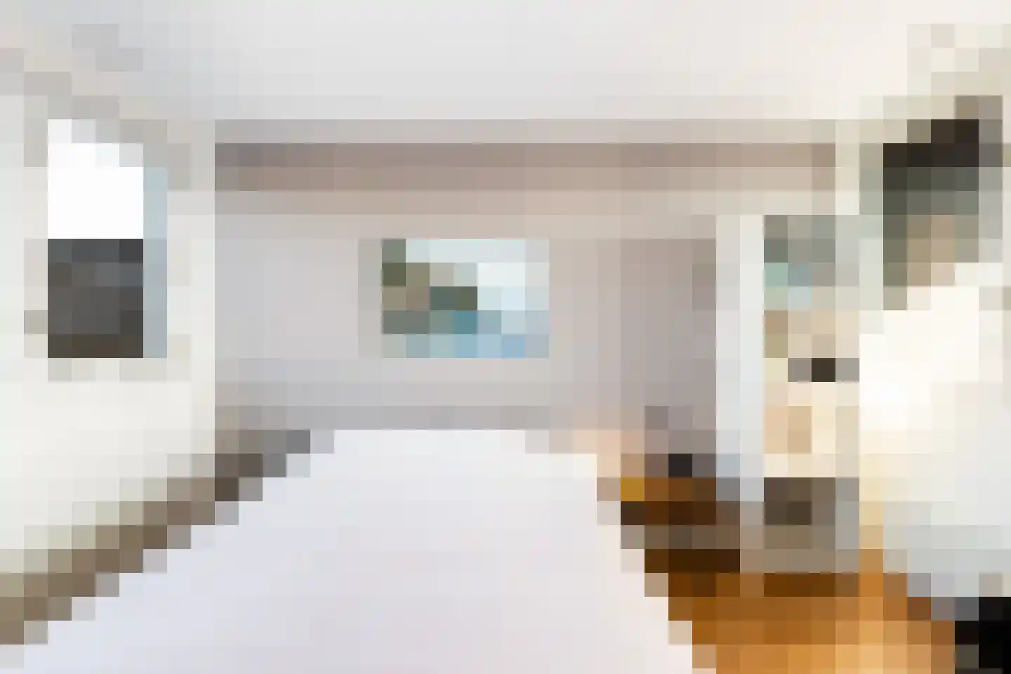 Morgen 7 Soest thumbnail 23