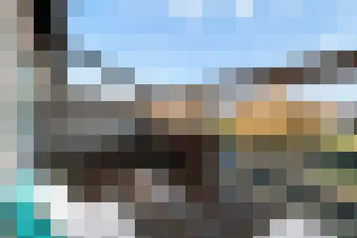 Morgen 7 Soest thumbnail 28