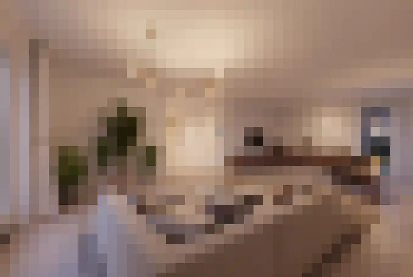 Morgenerf 5 Abcoude thumbnail 15
